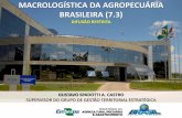 MACROLOGÍSTICA DA AGROPECUÁRIA BRASILEIRA (7.3) · movimentaÇÃo total de cargas agropecuÁrias no brasil –2016 embrapa territorial categoria nº de produtos produÇÃo em 2016