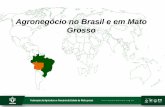 Agronegócio no Brasil e em Mato Grossojp.camaradojapao.org.br/upload/files/S106_2014_05_Apresentacao_Rui... · Fonte: CONAB, IBGE e Imea Área 903.366 km2 (3º maior) População
