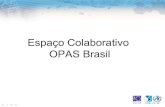 Espaço Colaborativo OPAS Brasil - eventos.bvsalud.org · esportes, caridade, atendimento, as famílias, todas são redes ... Em 2007 mais de 2000 instituições operam direta ou
