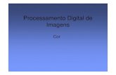 Processamento Digital de Imagens - sorocaba.unesp.br · Processamento Digital de Imagens Cor. ... para a manipulação de imagens. Para o processamento de imagens, ... Gonzalez, cap.