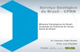 Serviço Geológico do Brasil CPRM - senado.leg.br · Serviço Geológico do Brasil – CPRM 1. Grupo de Trabalho de Coordenação 2. Estudo prospectivo 3. Levantamento Geológico