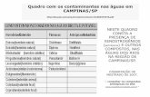 Quadro com os contaminantes nas águas em CAMPINAS/SP · PROPAGANDA DE UMA PARADA DE ÔNIBUS EM PARIS, ... • Notícia sobre a eliminação, ... Slide 1 Author: Jacques