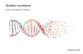Apresentação do PowerPoint - joinville.udesc.br · 20 DNA: Outras características importantes As fitas de DNA são ditas complementares (por conta das bases nitrogenadas) e antiparalelas: