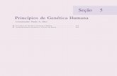 Princípios de Genética Humana - Instituto de Biociênciasotto/downloads/pdf_otto/priaco.pdf · as informações de pertinência em genética, este capítulo e o próximo, que compõem