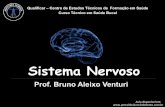 Sistema Nervoso - portaldoaluno.bdodonto.com.brportaldoaluno.bdodonto.com.br/.../portalaluno/aulas/sistemanervoso.pdf · Nervos Cranianos V Par. Nervo trigêmeo Nervo o^álmico Nervo