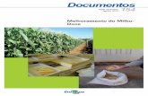 Documentos ISSN 1518-4277 154 Agosto, 2013 · esse mercado responde por 71% das receitas, é um indicativo ... derado, juntamente com o milho-verde, um produto hortícola. Melhoramento