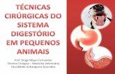 Faculdades Anhanguera Dourados · CUIDADOS PRÉ-OPERATÓRIOS Antibioticoterapia controverso (saliva atua como antimicrobiano) Antibioticoterapia em pacientes debilitados e profilático