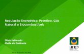 Regulação Energética: Petróleo, Gás Natural e Biocombustíveis · Especificação e qualidade do petróleo e seus derivados, gás natural e seus derivados, e biocombustíveis