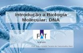 Introdução a Biologia Molecular: DNA · ESTRUTURA QUÍMICA DA MOLÉCULA DO DNA. DNA •Antiparalelismo As fitas do DNA estão dispostas em direções opostas. DNA COMPLEMENTARIEDADE