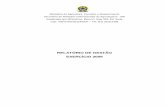 Relatório de Gestão 2009 - agricultura.gov.br · SIASG E NO SISTEMA DE GESTÃO DE CONVÊNIOS, ... Secretaria de Relações Internacionais do ... visando à identificação de oportunidades
