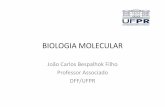 BIOLOGIA MOLECULAR 1... · estuda a composição, estrutura e interações de moléculas celulares -tais como ácidos ... Perpetuada através da Replicação do DNA