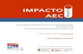 IMPACTO O AEC - portal.amp.ptportal.amp.pt/.../2014/12/17/relatorio_sintese_impacto_aec.pdf · aec avaliaÇÃo do impacto social e da implementaÇÃo de projetos de atividades de