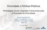 Participação Social e Agendas Transversais para a Promoção ...repositorio.enap.gov.br/bitstream/1/3102/6/Diversidade e Políticas... · •Lei 13.249/2016 - Institui o Plano Plurianual
