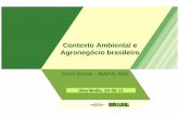 Contexto Ambiental e Agronegócio brasileiro · 14/7/2011 · Climáticas Visando à Consolidação de uma Economia de Baixa Emissão de Carbono na Agricultura . 1. ... estoque de