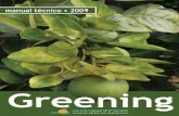Greening (HLB) O - citrusbr.com · dindo a distribuição da seiva. Com isso, quando contaminadas, plantas novas não chegam a produzir e plantas adultas ... Estado de São Paulo