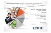 Auditoria das cooperativas de crédito no Brasil - cemla.org · CMN a competência para regulamentação de auditoria em cooperativas de crédito ... Materialidade para opinião: