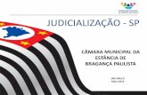 JUDICIALIZAÇÃO - SP · Judicialização • Avanço democrático - direito de recorrer à justiça para garantir um direito individual • Insuficiência da política de assistência