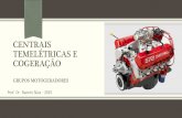 CENTRAIS TEMELÉTRICAS E COGERAÇÃO · Grupos Motogeradores Prof. Dr. Ramón Silva -2016 4 Os mais utilizados são os GMGs ciclo Diesel de quatro tempos, sendo que a ...