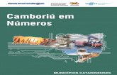Camboriú em Números - sebrae.com.br³rio Municipal - Camboriú.pdf · Santa Catarina – Sebrae/SC desenvolveram, e estão implantando, o Programa Nova Economia @ SC - Programa