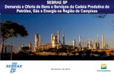 SEBRAE-SP - Petróleo e Gás em Campinas e Região ... Sebrae/UFs/SP/Pesquisas/demanda... · QSMS Notas fiscais corretamente discriminadas Condições adequadas de veículos Certificações