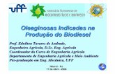 Oleaginosas Indicadas na Producao do Biodiesel - bioflu.uff.br · Departamento de Engenharia Agr ícola e Meio Ambiente Pós-gradua çã o em Eng. Mec ânica, UFF. Impactos na Agricultura