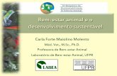 Bem-estar animal e o desenvolvimento sustentávelsisca.com.br/pdf/04-CarlaMolento.pdf · Para todos os seres sencientes. Animais vertebrados, no mínimo Quando bem-estar é relevante?
