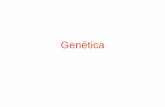Genética - Cursos DAC · Cruzamento-teste • Fenótipo dominante – Homozigoto dominante ou heterozigoto? • Cruzar esse indivíduo de genótipo desconhecido com um recessivo.