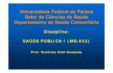 Universidade Federal do Paraná Setor de Ciências da Saúde ... · “Saúde Pública é a ciência e a arte de prevenir doença, prolongar a vida e promover saúde e ... o processo