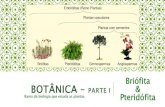 Briófita BOTÂNICA PARTE I Ramo da biologia que estuda as ... · Ramo da biologia que estuda as plantas. ... Primeiras plantas a possuírem tecidos condutores e tecidos de sustentação,