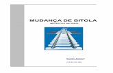 MUDANÇA DE BITOLA - web.fe.up.ptee96127/artigos/BIBITOLA2.pdf · nacional devido ao relevo existente na Beira Alta, bastaria uma linha de Velocidade Elevada, mais barata, com comboios