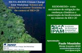 No Slide Title · O papel dos Estados • Amazonas – legislação de mudança do clima, projetos pioneiros de prevenção ao desmatamento futuro e bolsa floresta • Acre – programa