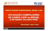 PHELPS DODGE INTERNATIONAL BRASIL LTDA.enafic.com.br/apres/11h10_-_11h50_-_Phelps_Dodge.pdf · Medidas contra Incêndios •Prevenção de Incêndio objetiva evitar o incêndio -