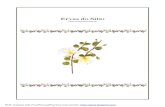 Ervas do Sítiofiles.download-de-livros-gratis.webnode.com/200000098-2623e27207/... · As Plantas e os Primó ... A partir de então começou a fazer uso das plantas. Há registros