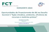 HORIZONTE 2020 Oportunidades de financiamento de I&I no ... · Associação Para a Investigação e Desenvolvimento da Faculdade de Medicina ... Roteiro para uma Europa Eficiente