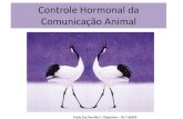 Controle Hormonal na Comunicação Animal - ibb.unesp.br · Gastavam menos tempo investigando o odor de ... Para maioria dos mamíferos, a puberdade é marcada por um aumento na agressividade.