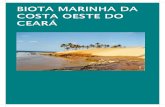 BIOTA MARINHA DA COSTA OESTE DO CEARÁ ... (1970) sobre as comunidades bentônicas dos recifes da praia de Meireles, Fortaleza. Franklin-Junior (1992) estudouFranklin-Junior (1992)