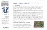 1 Introdução - Agência Embrapa de Informação Tecnológica · Doenças do eucalipto no sul do Brasil: identificação e controle3 Figura 5 A-B. Sintomas do mofo cinzento em folhas