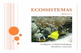 Aula5 2011 Ecossistemas - hidro.ufcg.edu.br .FLUXO DE ENERGIA SOLAR â€“SISTEMA ABERTO ... CADEIACADEIA