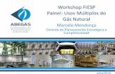 Workshop FIESP Painel: Usos Múltiplos do Gás Naturalaz545403.vo.msecnd.net/uploads/2016/07/marcelo-mendonca.pdf · energia ao gerador pela energia que ele entregar à rede de ...
