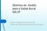 Diretrizes de Gestão para a Saúde Bucal SUS-SP · - Guia de recomendações para o uso de fluoretos no Brasil, 2009 . Art. 196. A saúde é direito de todos e dever do Estado, ...