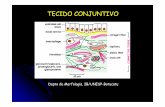 Tecido Conjuntivo II - fea.br Profº Fábio Bonello... · TECIDO CONJUNTIVO-Matriz extracelular → Proteínas fibrosas -Substância Fundamental -Células Residentes e Transitórias
