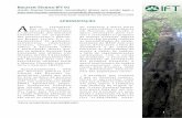 APRESENTAÇÃO A - ift.org.brift.org.br/wp-content/uploads/2015/05/BOLETIM_TECNICO_01.pdf · demanda por madeira em tora da Amazônia, ... agrícola de pequena esca-la), ... cando
