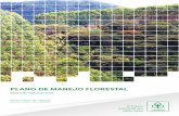 PLANO DE MANEJO FLORESTAL - cenibra.com.br · Colheita / Transporte PESQUISA FLORESTAL Melhoramento Genético Manejo e Controle de Pragas Florestais ... tações de eucalipto, 129.074,05