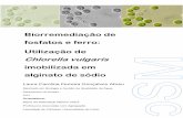 Biorremediação de fosfatos e ferro: Utilização de ... · Laura Carolina Ferreira Gonçalves Abreu Mestrado em Biologia e Gestão da Qualidade da Água Departamento de Biologia