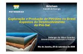 Exploração e Produção de Petróleo no Brasil Aspectos do ... · Gerente Executiva Exploração & Produção Rio de Janeiro, 29 de setembro de 2009 Bricham Comitê de Energia.