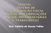Dra. Valéria de Souza Telles - sindcontsp.org.brsindcontsp.org.br/uploads/acervo/arquivos/eSocial.pdf · Manual de Orientação do e - Social ... webservice transmitir suas informações