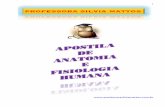 FACULDADES PADRE ANCHIETA - BIOLOGIA IIIprofessorasilviamattos.com.br/.../07/APOSTILA-ANATOMIA-E-FISIOLOGIA... · Anatomia Humana compreende a dissecação dos seres humanos e o estudo