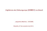 Vigilância de Chikungunya(CHIKV) no Brasilportalarquivos.saude.gov.br/images/pdf/2014/outubro/10/Guia-de... · Paciente com febre de início súbito maior que 38,5ºC e ... Mudanças