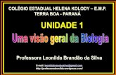 COLÉGIO ESTADUAL HELENA KOLODY E.M.P. TERRA BOA - … · UNIDADE 1 Professora Leonilda Brandão da Silva ... respiratório, cardiovascular uri- ... •Considerando todo sistema de