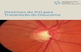 Diretrizes do ICO para Tratamento do Glaucoma - icoph.org · qualidade do tratamento dos pacientes e reduzir o risco da perda de visão resultante das formas mais comuns de glaucoma